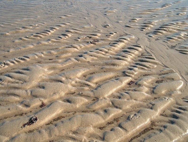 Sustainable Materials
