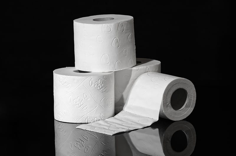 DIY Paper Roll Crafts